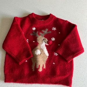 Beautiful ZARA reindeer sweater